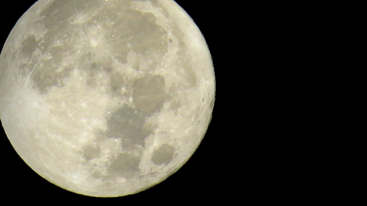 Open to All RSPB Arne Full Moon Walks, November 2024