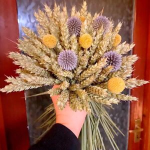 Dorset Dried Flowers