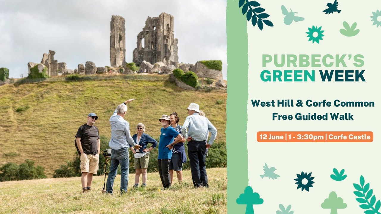Free Guided Walk - West Hill and Corfe Common