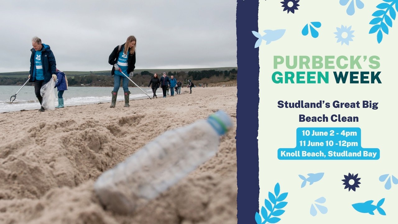Great Big Green Week: Studland Bay Beach Clean