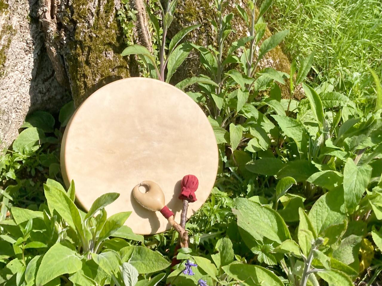Summer Solstice Drum and Rattle Birthing Immersion